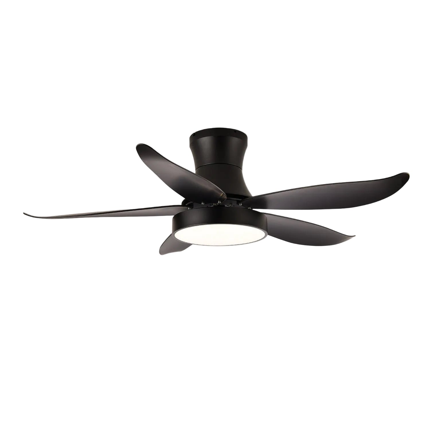 Rozin Modern Ceiling Fan Light