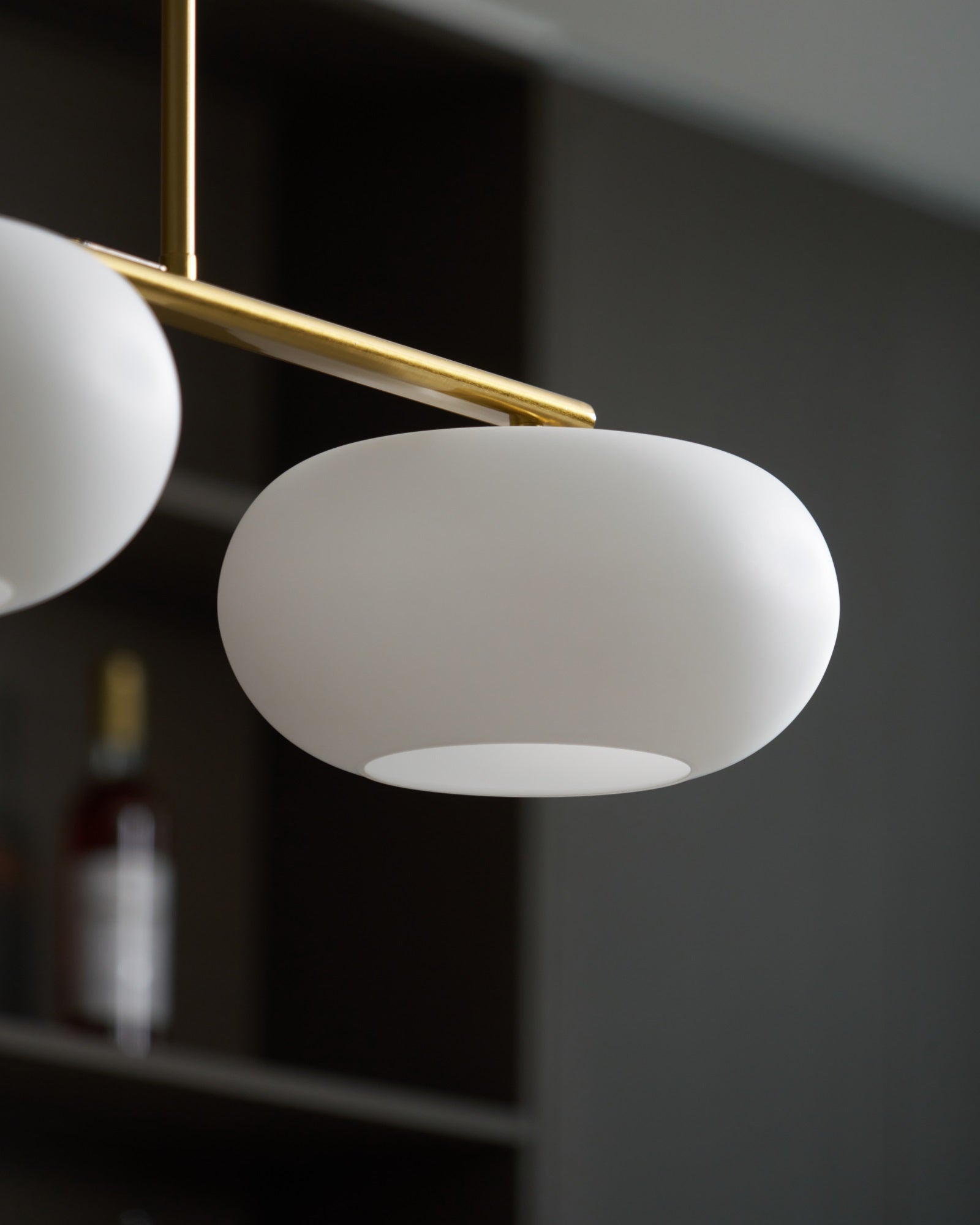 Lerenme Globe Pendant Light