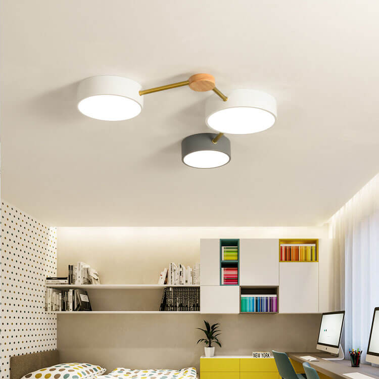 Leboza Minimalist Ceiling Light