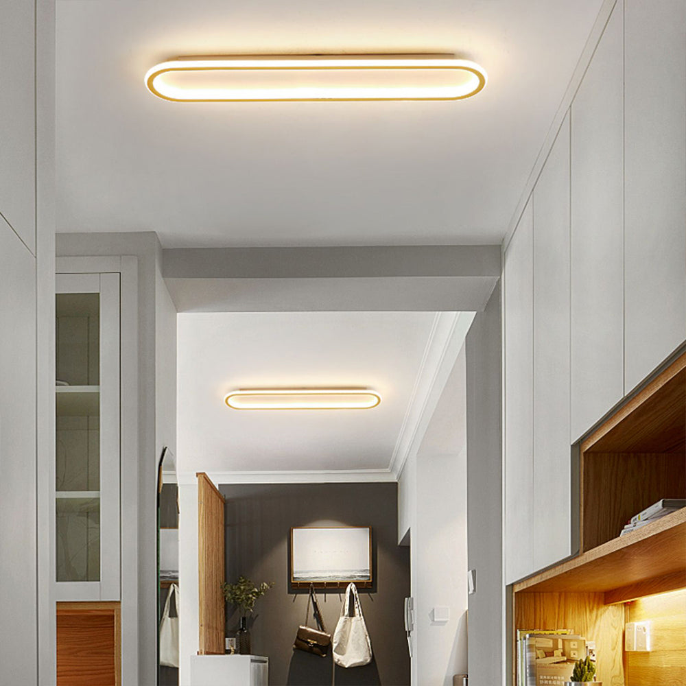 Relisan Minimalist Ceiling Light
