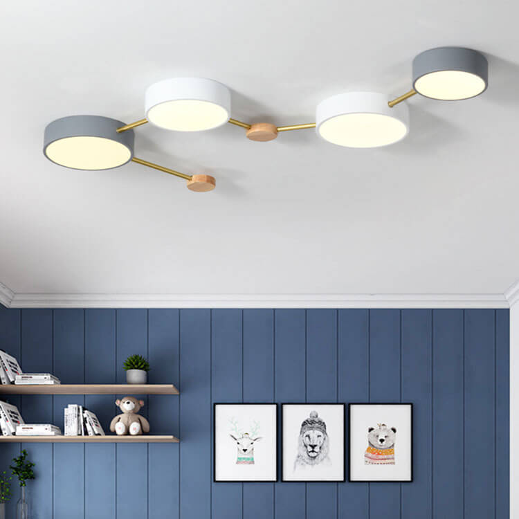 Leboza Minimalist Ceiling Light
