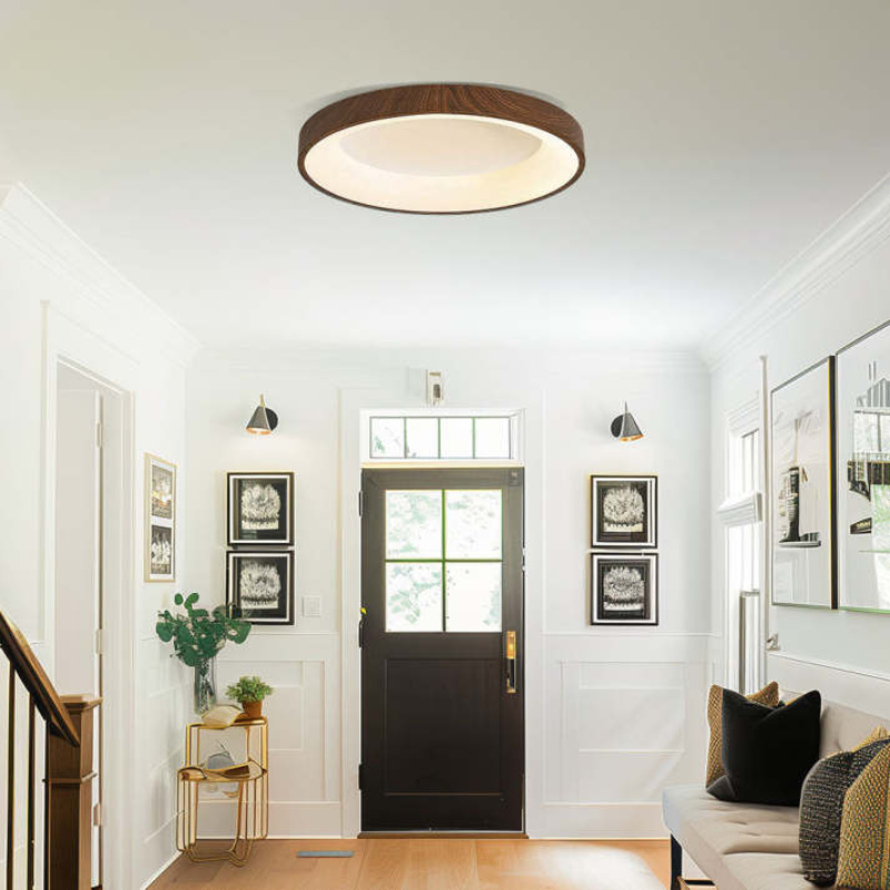 Olenera Ceiling Light