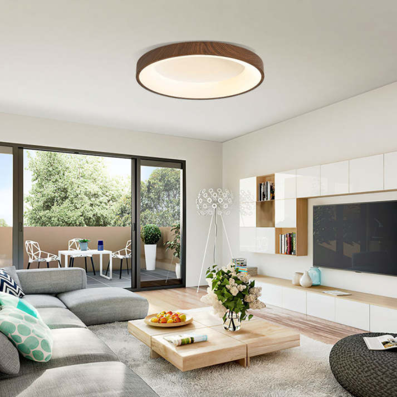 Olenera Ceiling Light