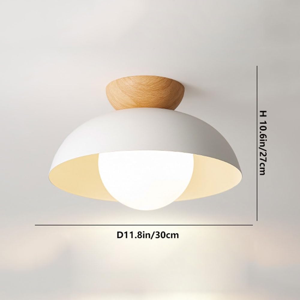 Trenton Ceiling Light