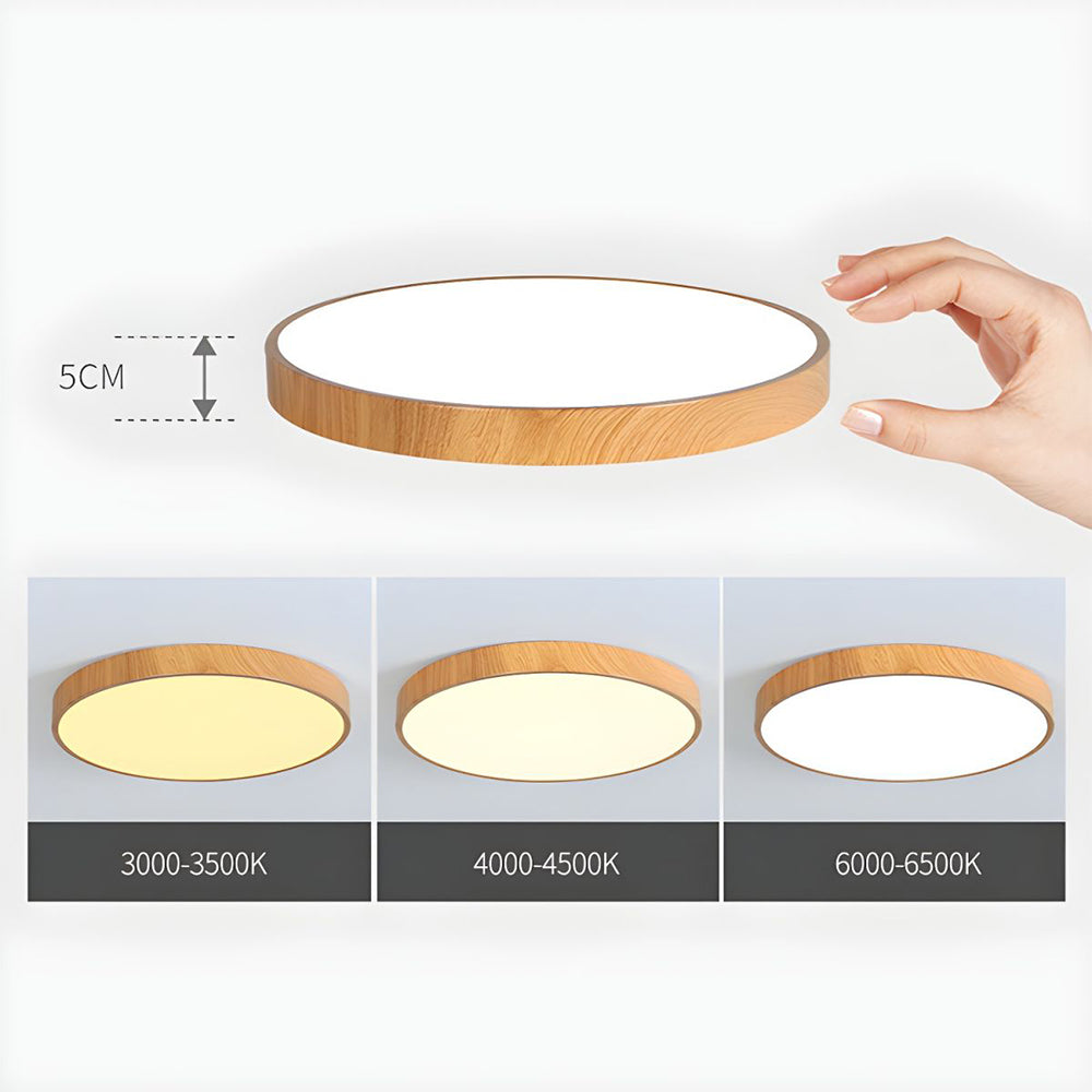 Celnen Round Ceiling Light