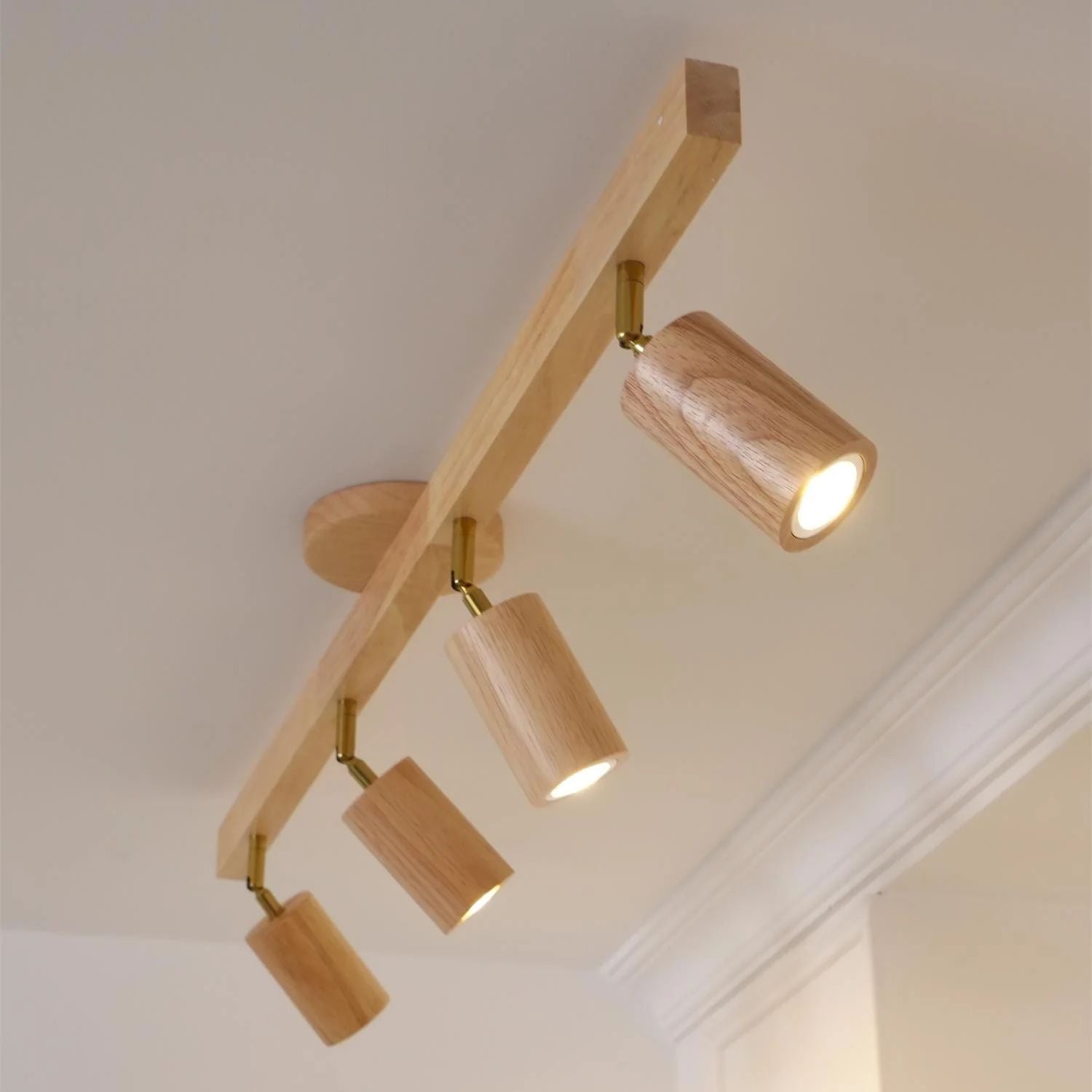 Sonir Ceiling Light