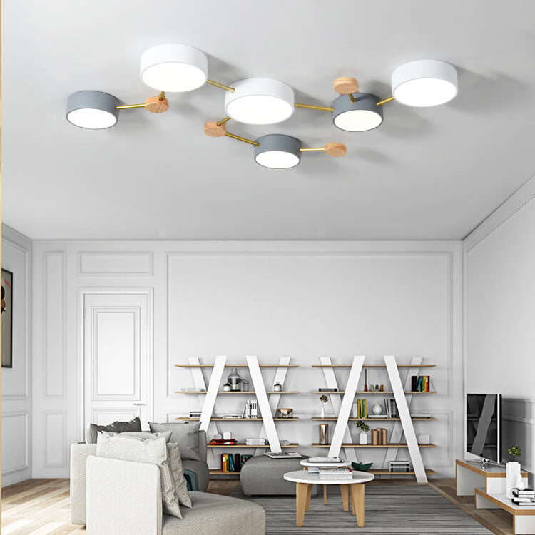 Leboza Minimalist Ceiling Light