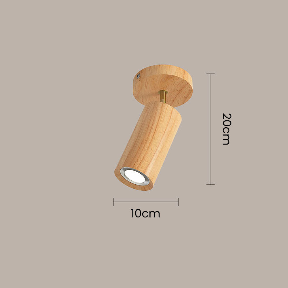 Karvo Ceiling Light