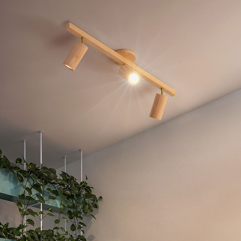 Karvo Ceiling Light