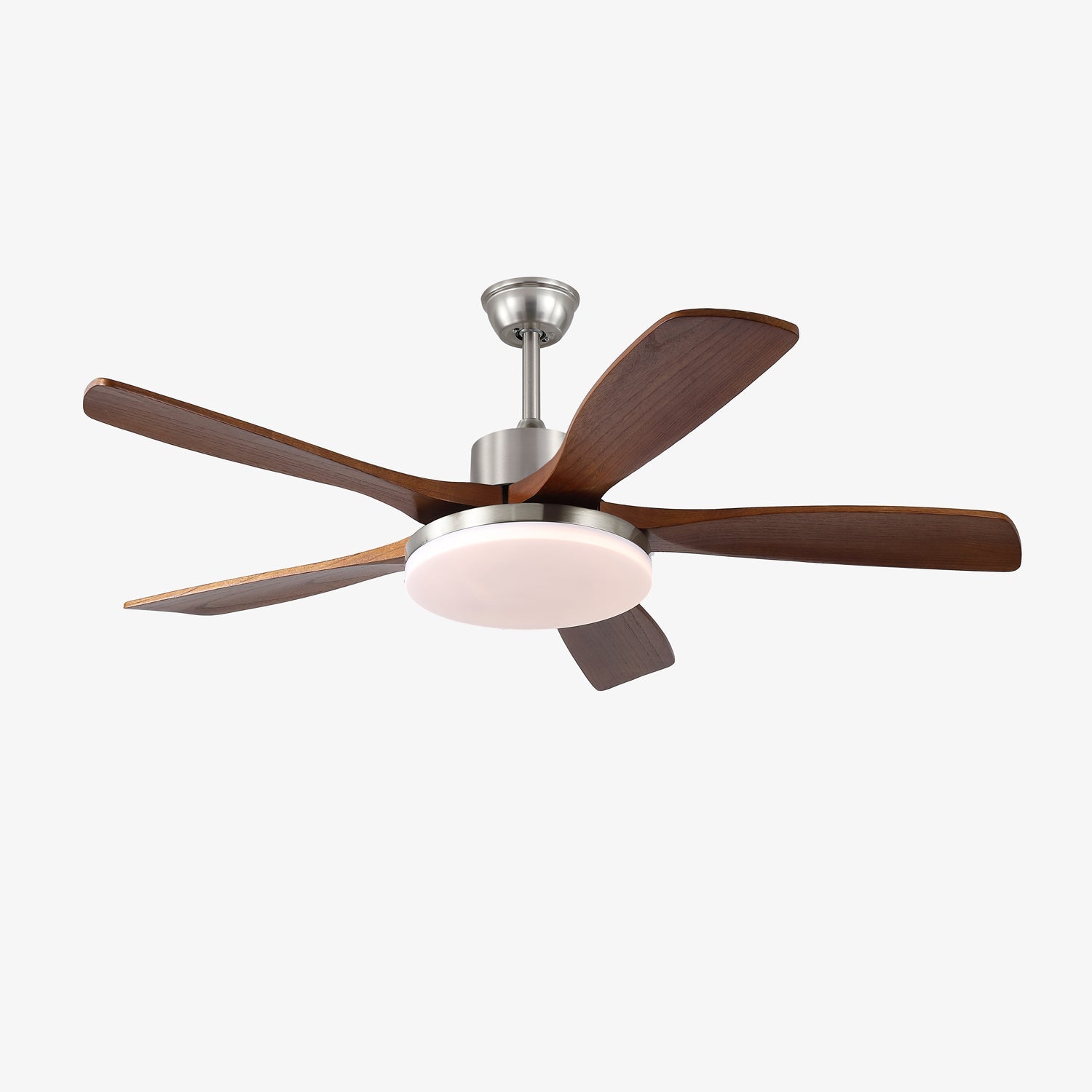 Lozya Ceiling Fan Light