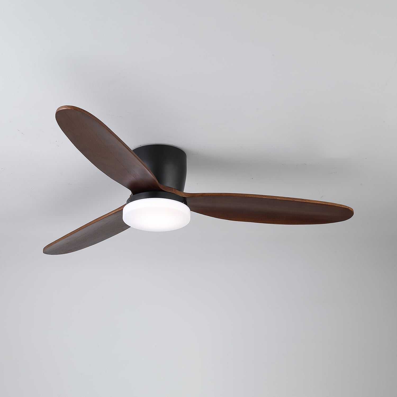 Norea Ceiling Fan Light
