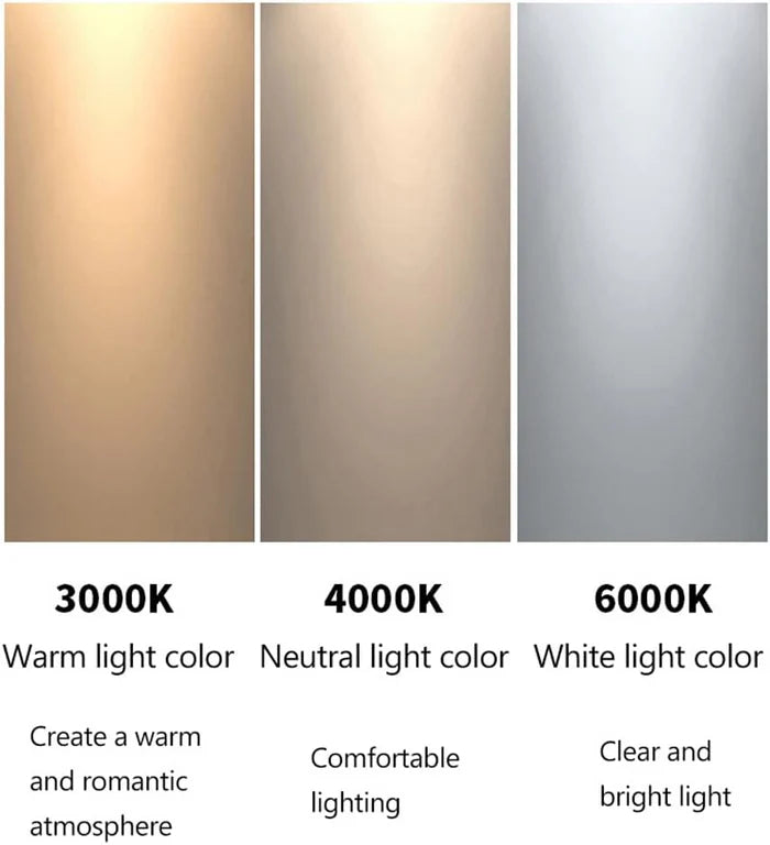 Braylon Crystal Ceiling Light