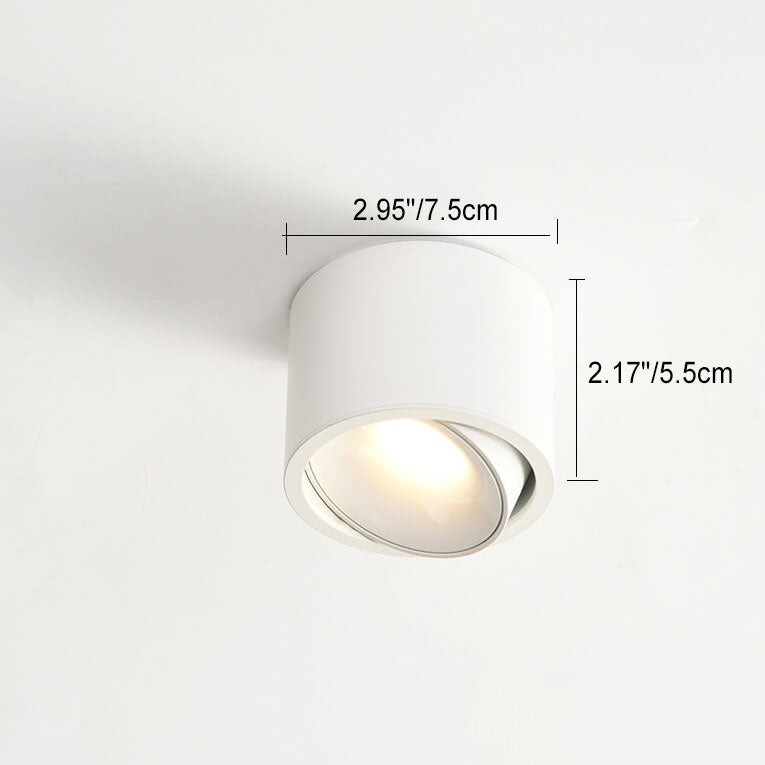 Bamarzo Round Ceiling Light