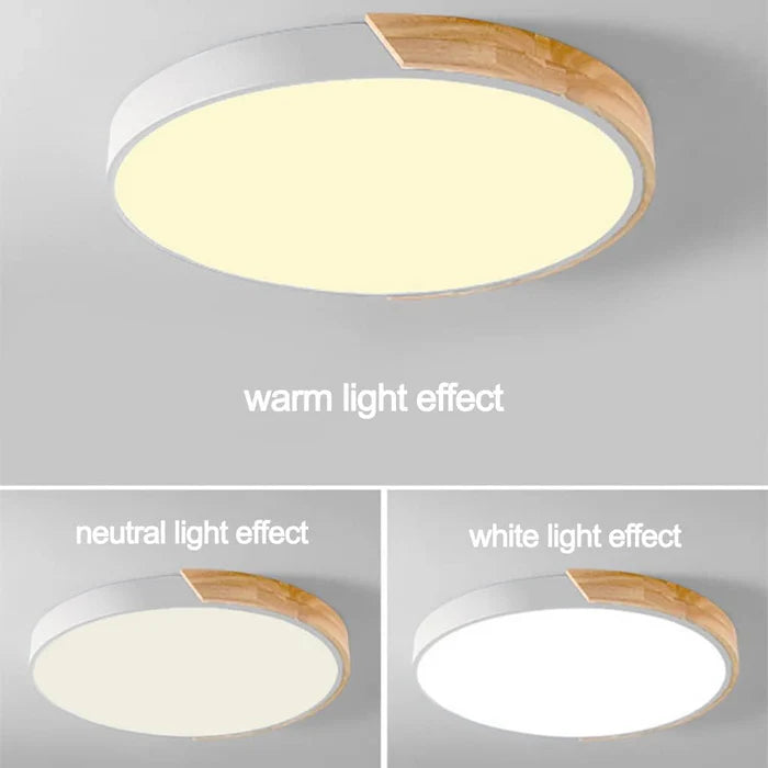 Selvon Round Ceiling Light