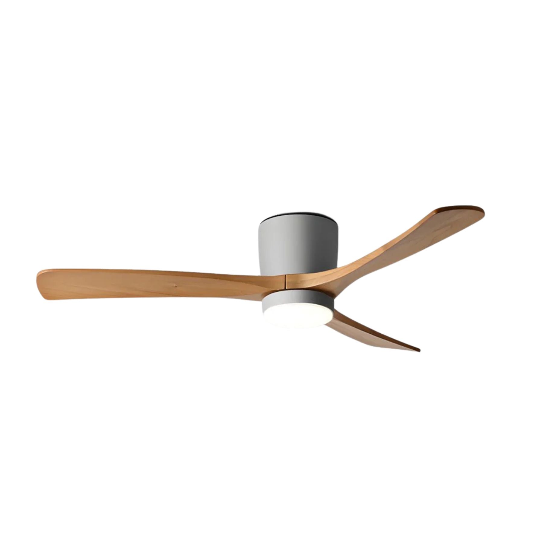 Evral Ceiling Fan