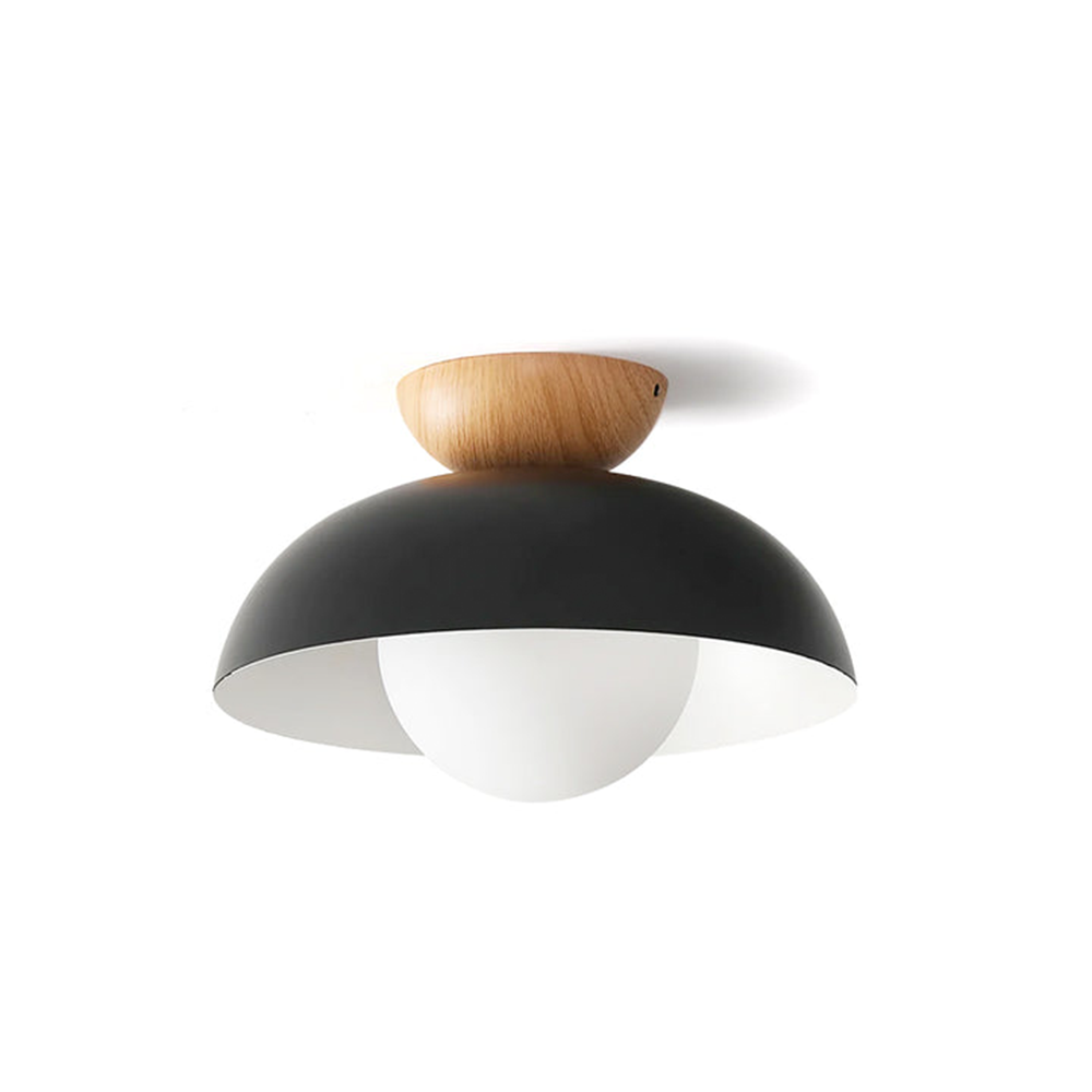 Trenton Ceiling Light
