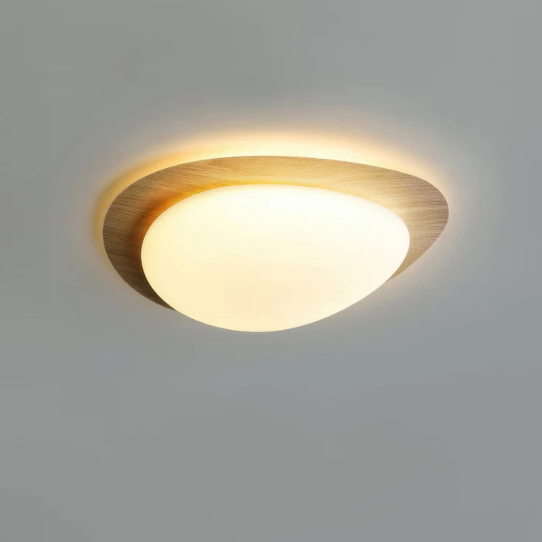 Leranor Ceiling Light