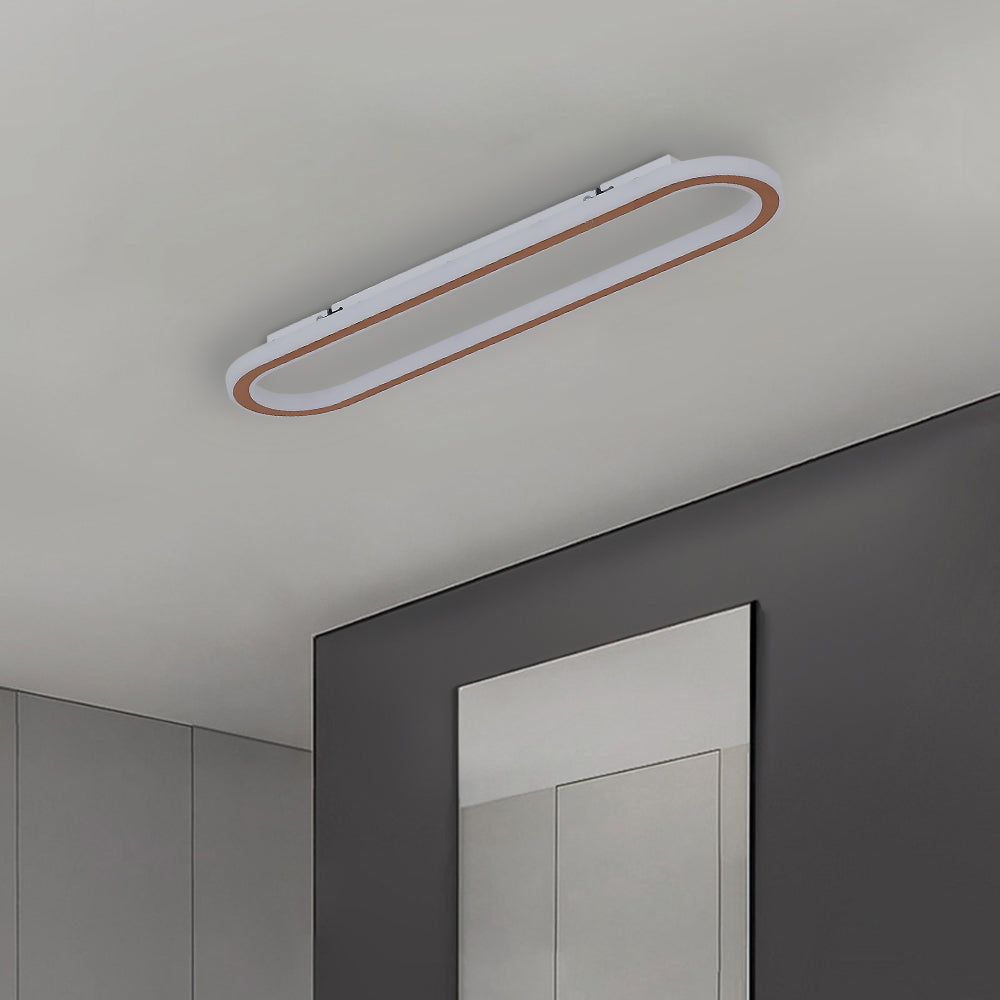 Relisan Minimalist Ceiling Light