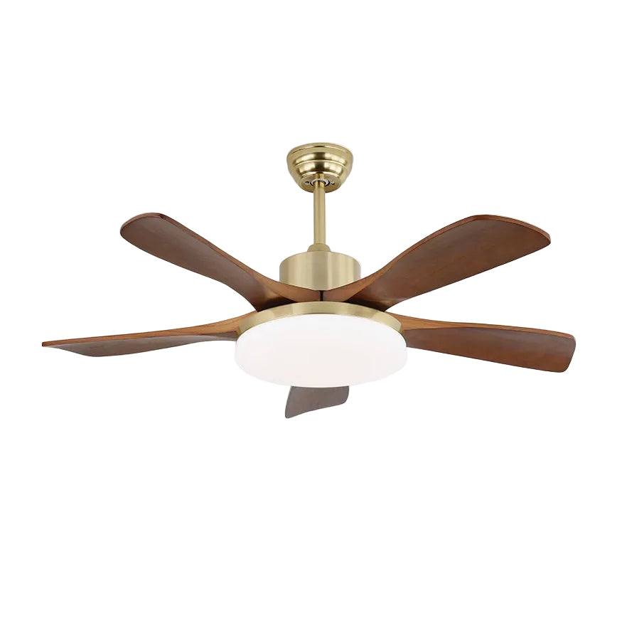 Arellian Ceiling Fan Light