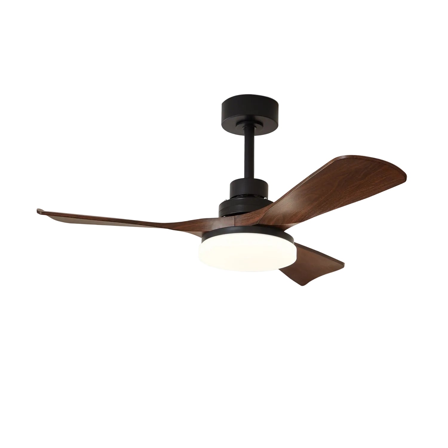 Brozeela Modern Fan Ceiling Light