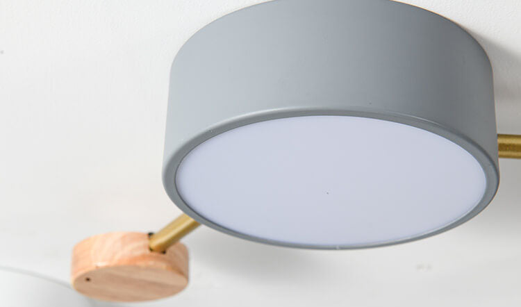 Leboza Minimalist Ceiling Light