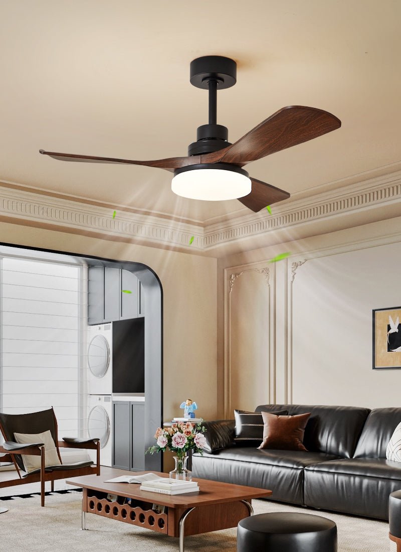 Brozeela Modern Fan Ceiling Light