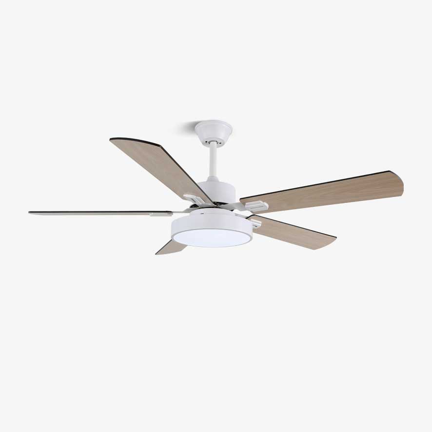 Baalius Ceiling Fan Light