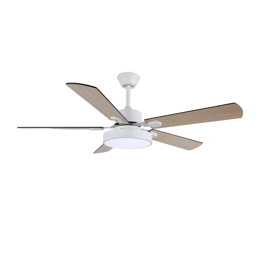 Baalius Ceiling Fan Light