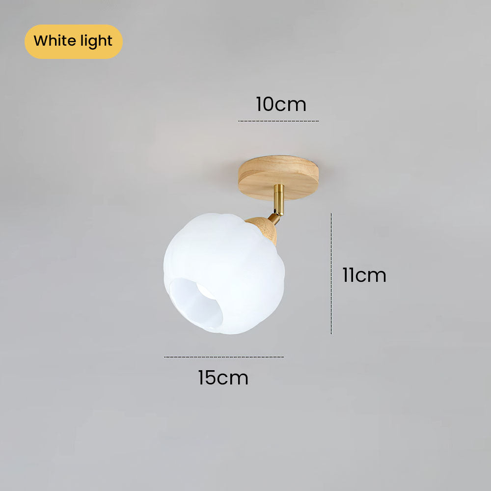 Zarim Ceiling Light
