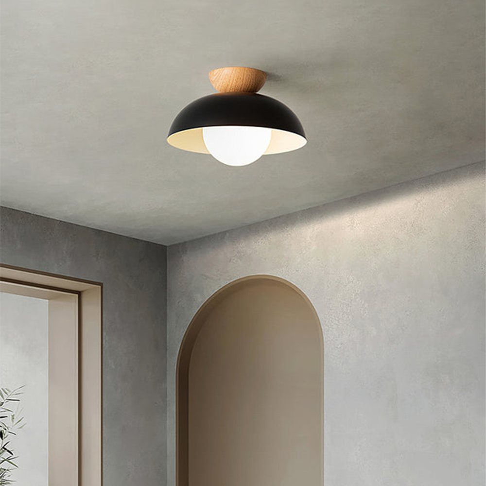 Trenton Ceiling Light