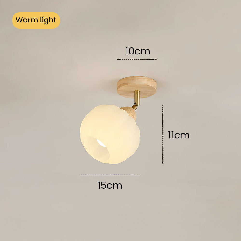 Zarim Ceiling Light