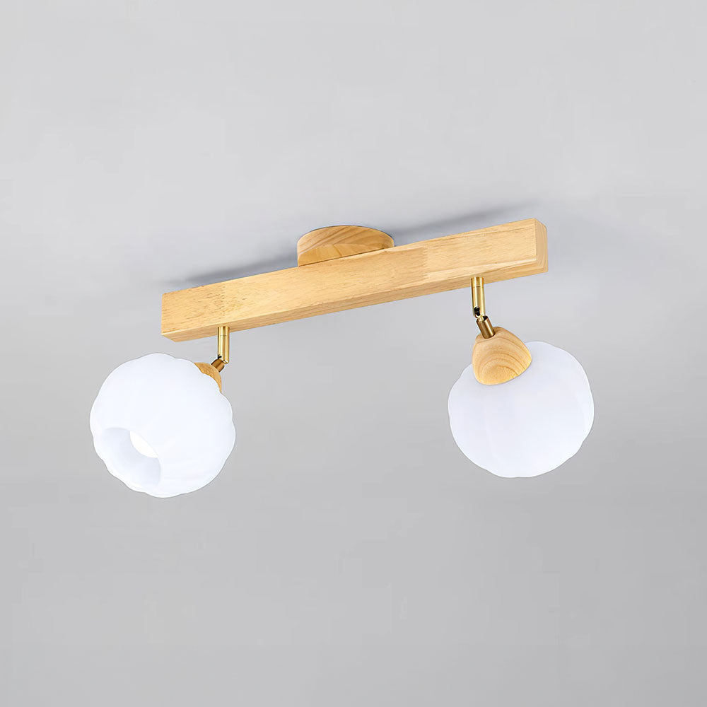 Zarim Ceiling Light