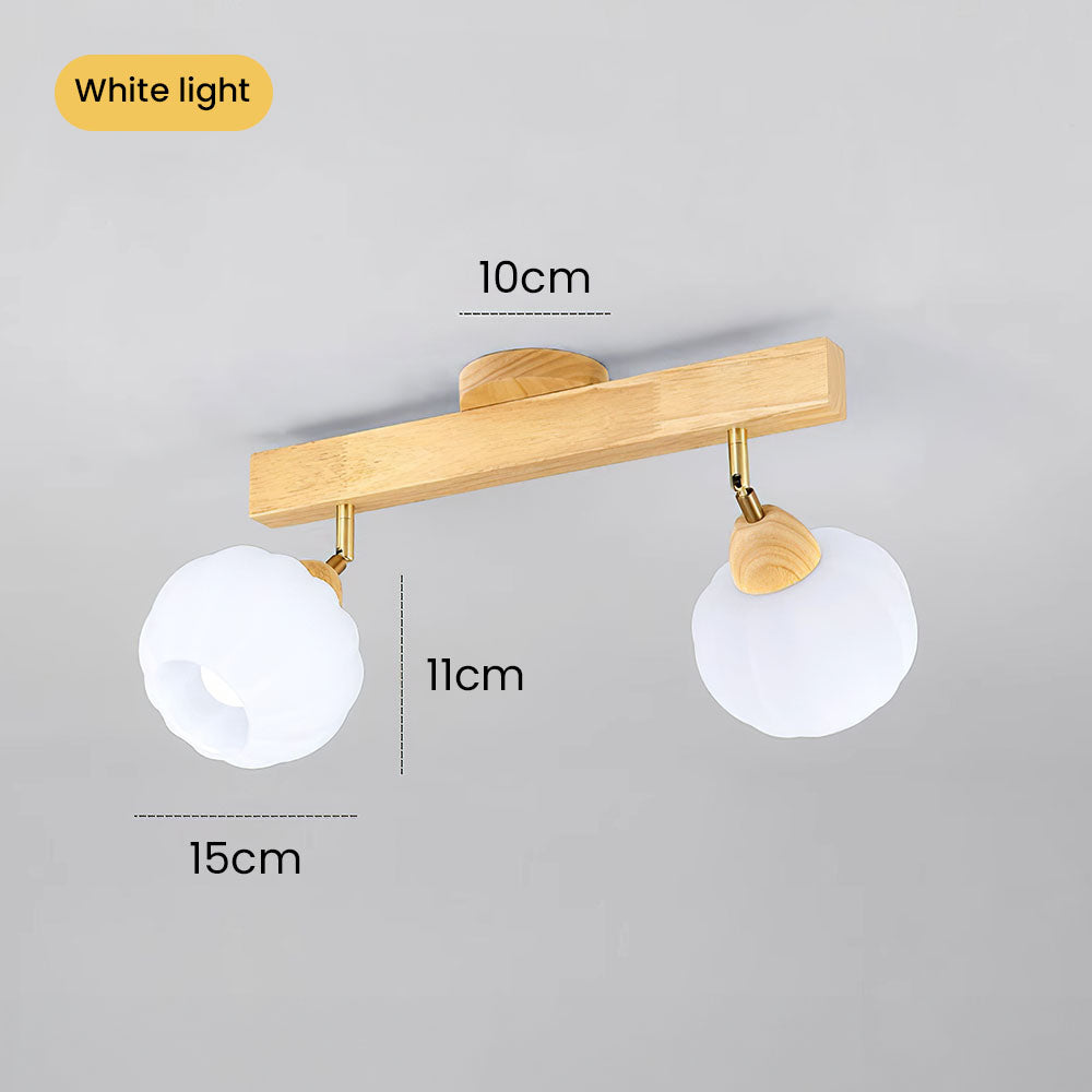 Zarim Ceiling Light