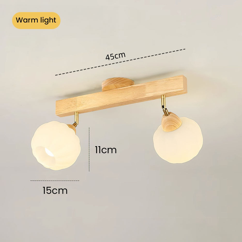 Zarim Ceiling Light