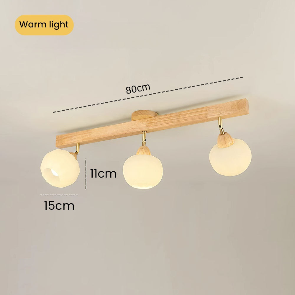 Zarim Ceiling Light
