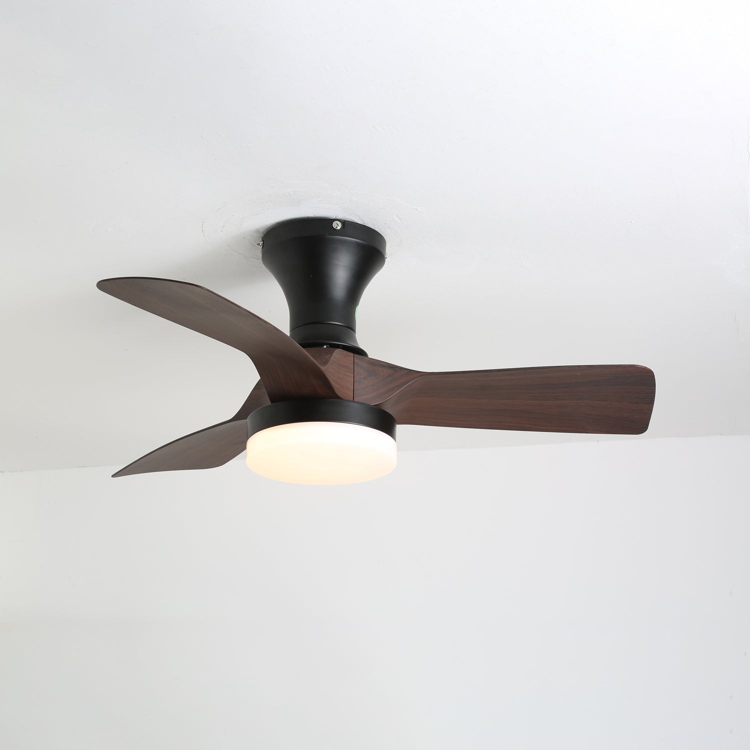 Avolin Ceiling Fan Light
