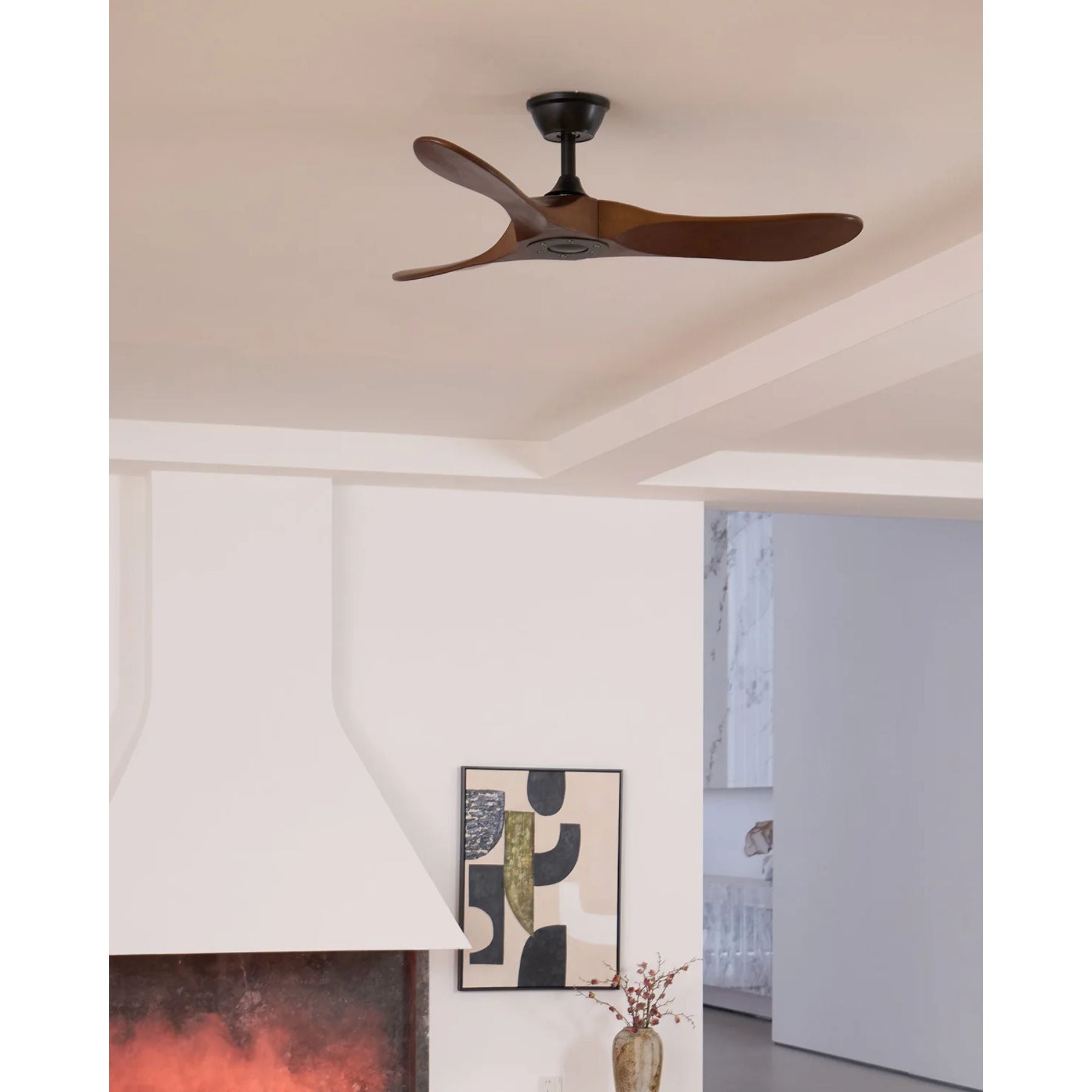 Zoheran Ceiling Fan