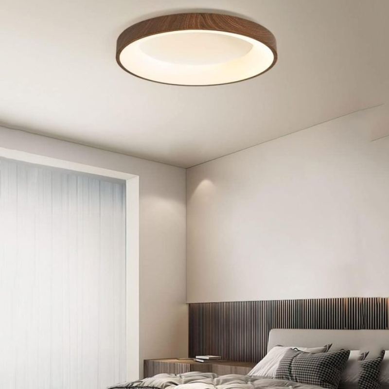 Olenera Ceiling Light
