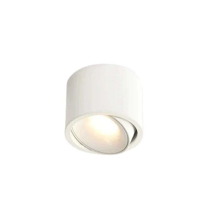 Bamarzo Round Ceiling Light