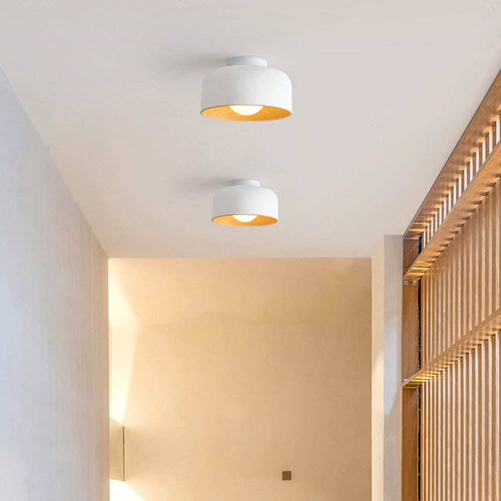Cudellu Ceiling Light