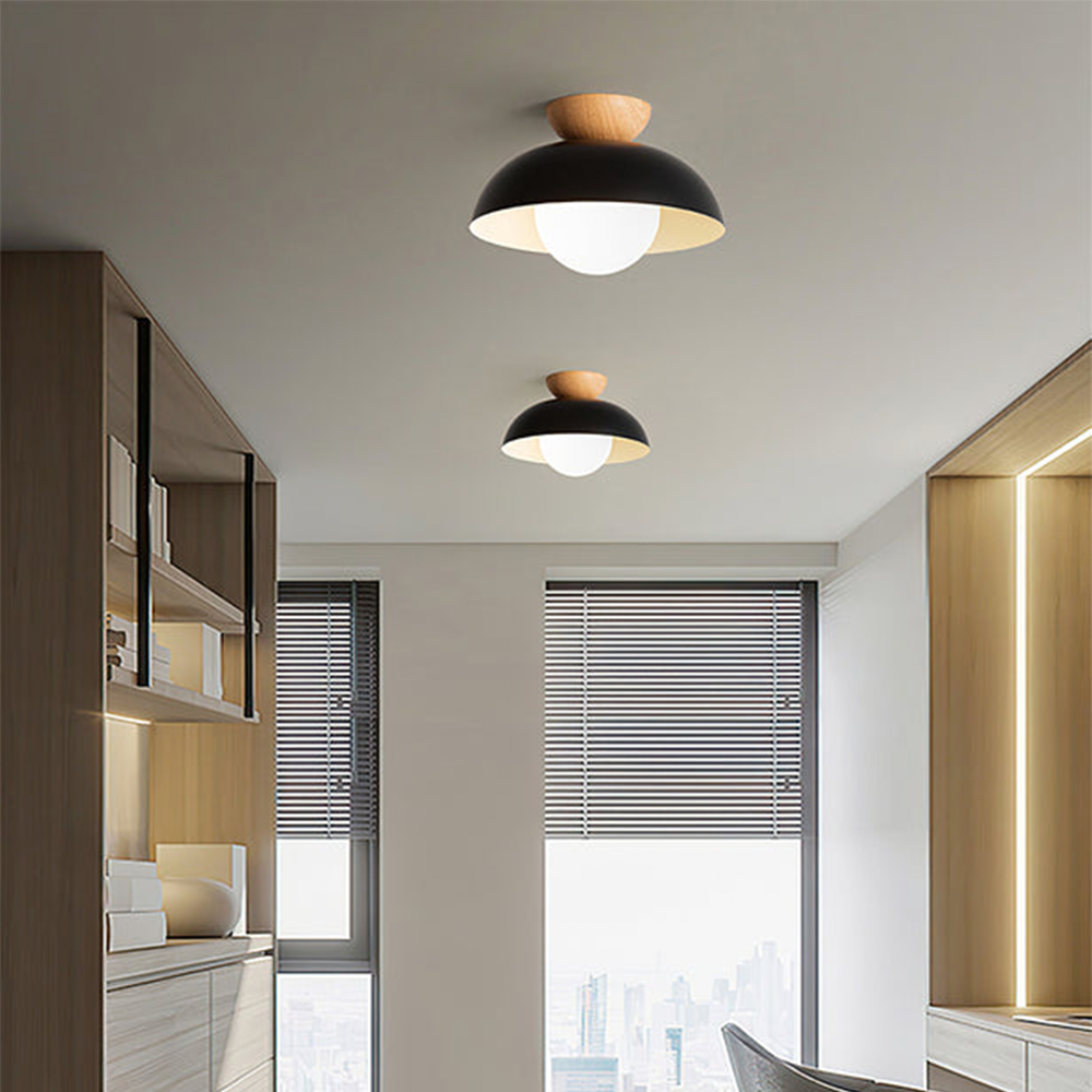 Trenton Ceiling Light