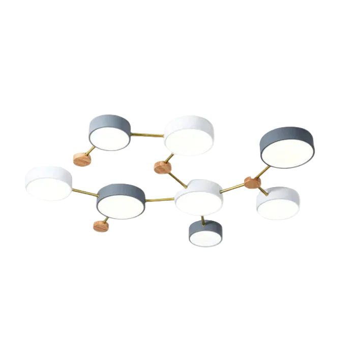 Leboza Minimalist Ceiling Light
