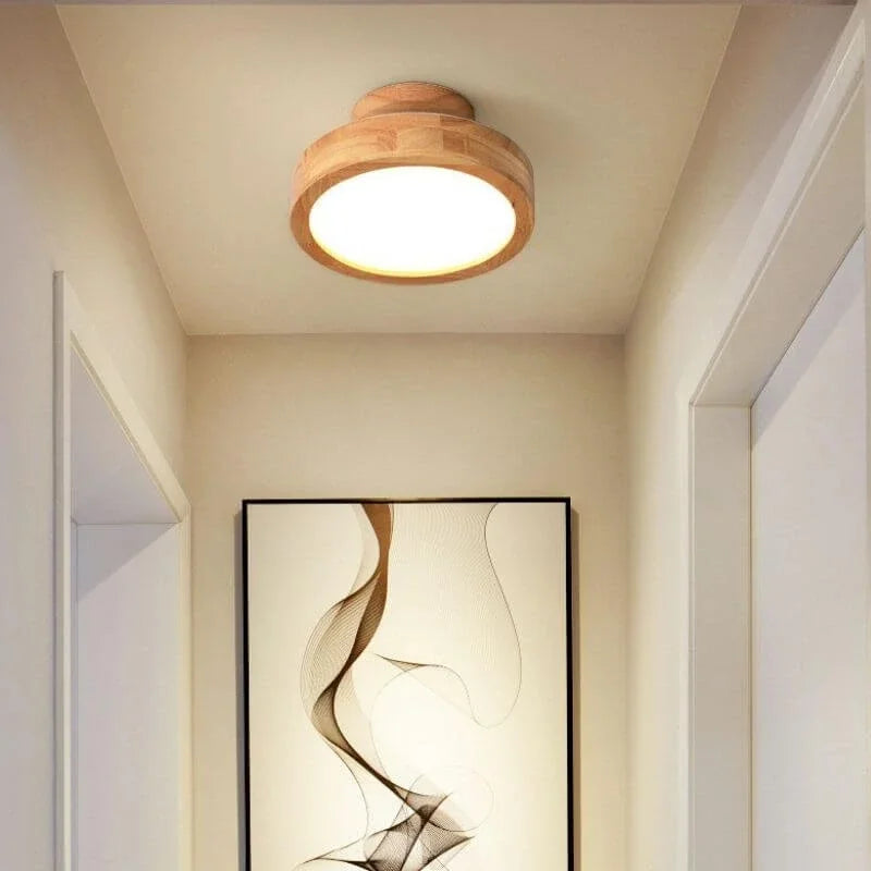 Pelezo Ceiling Light