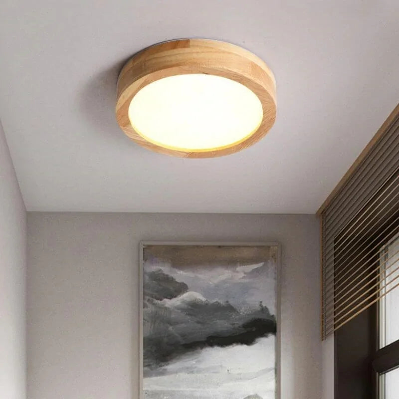 Pelezo Ceiling Light