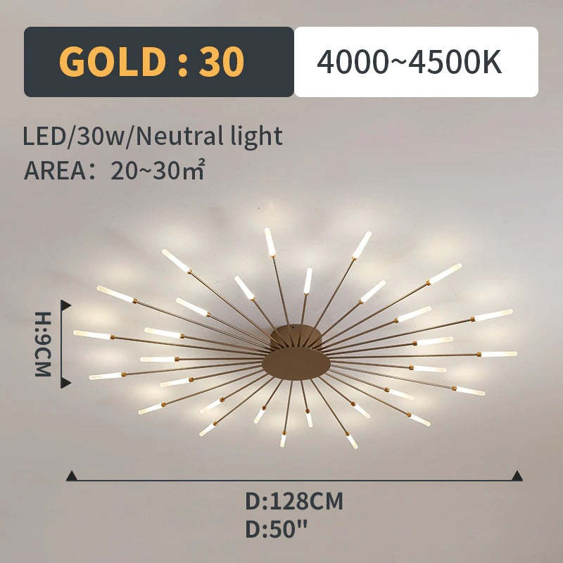 Arralessa Firework Ceiling Light
