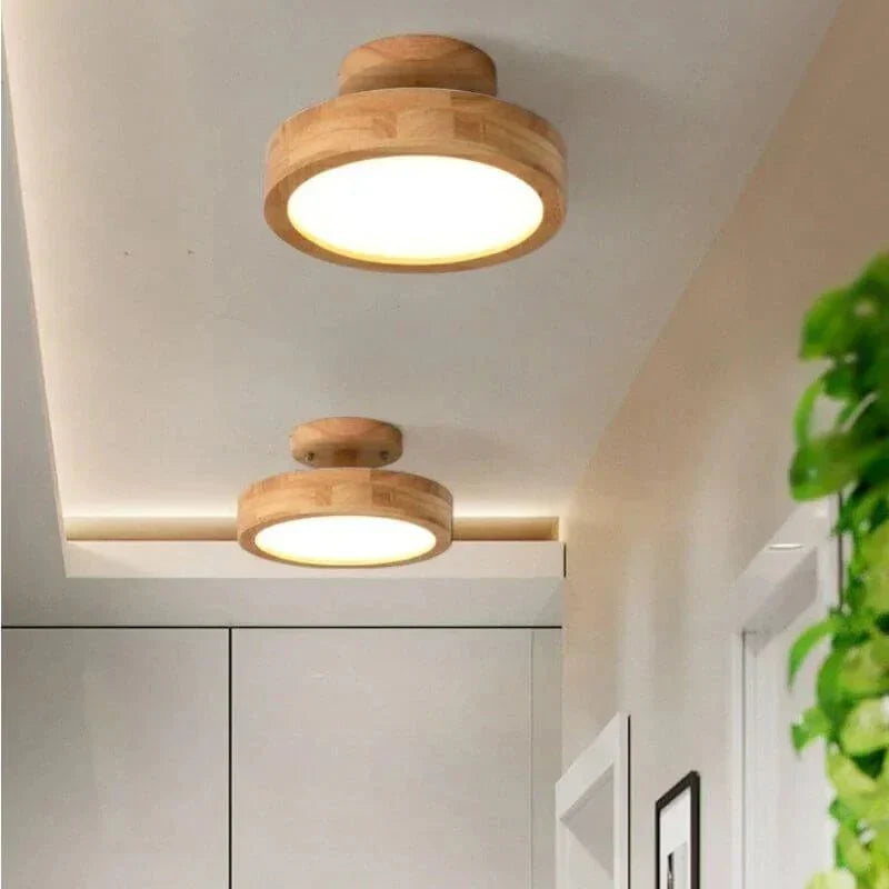 Pelezo Ceiling Light