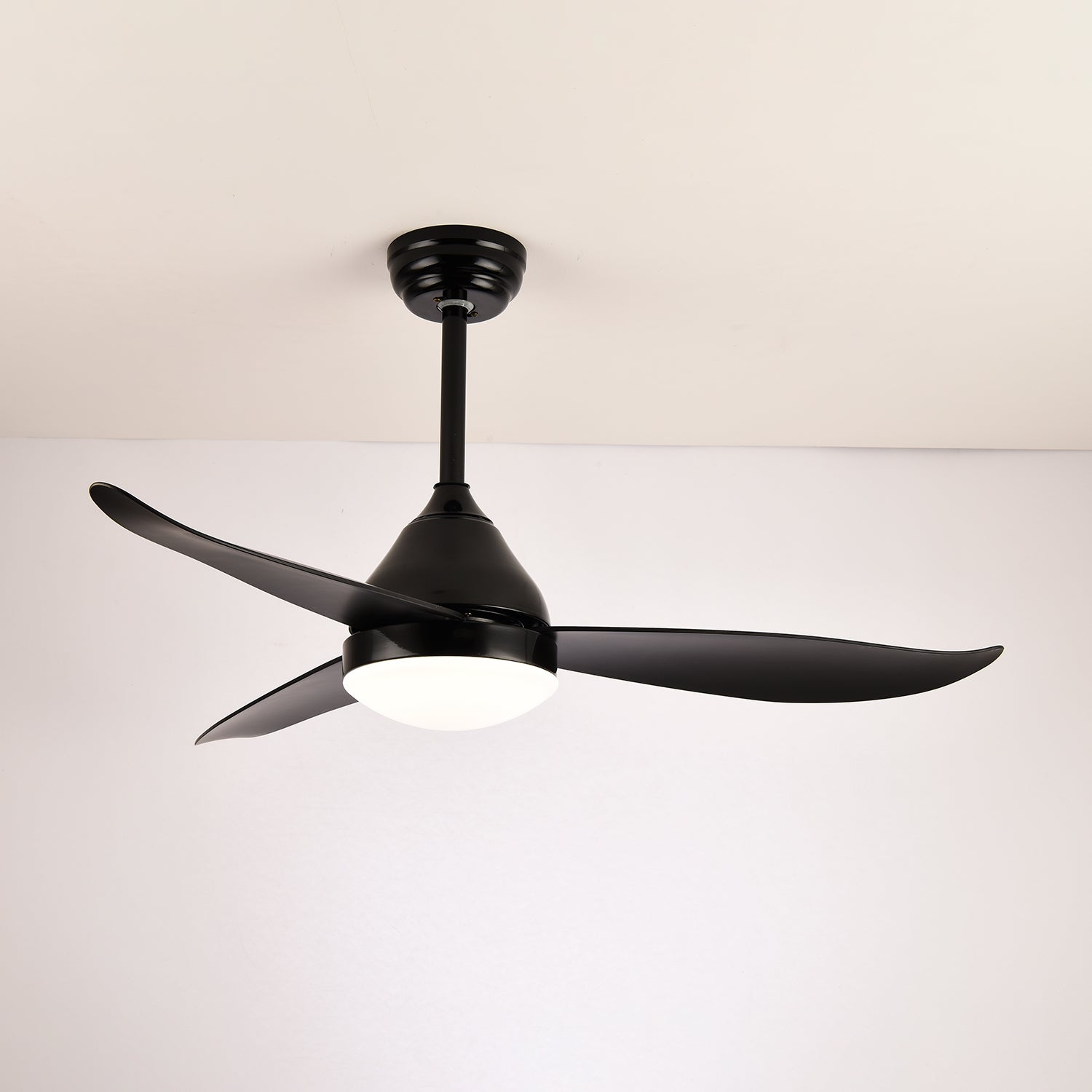 Verroza Ceiling Fan Light