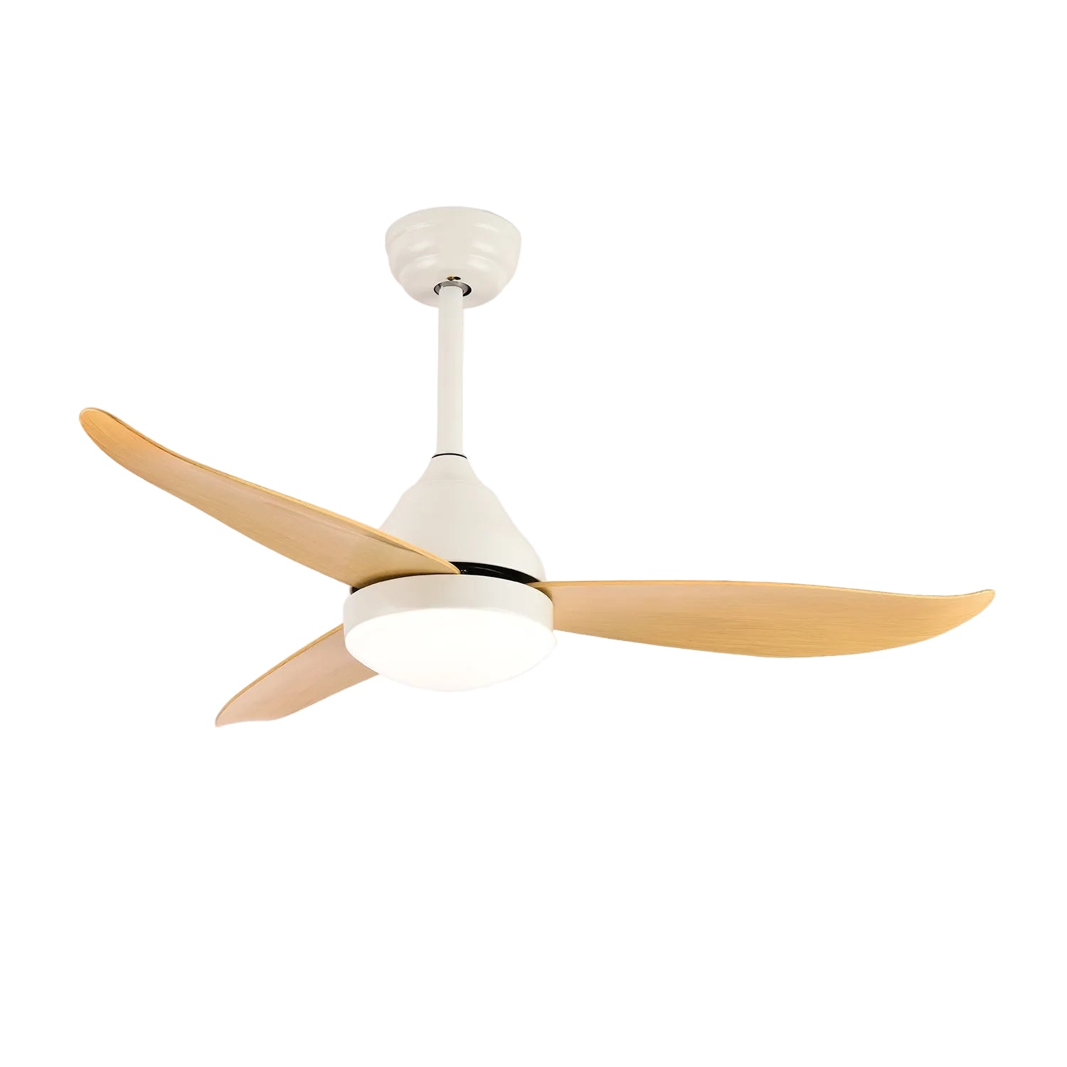 Verroza Ceiling Fan Light