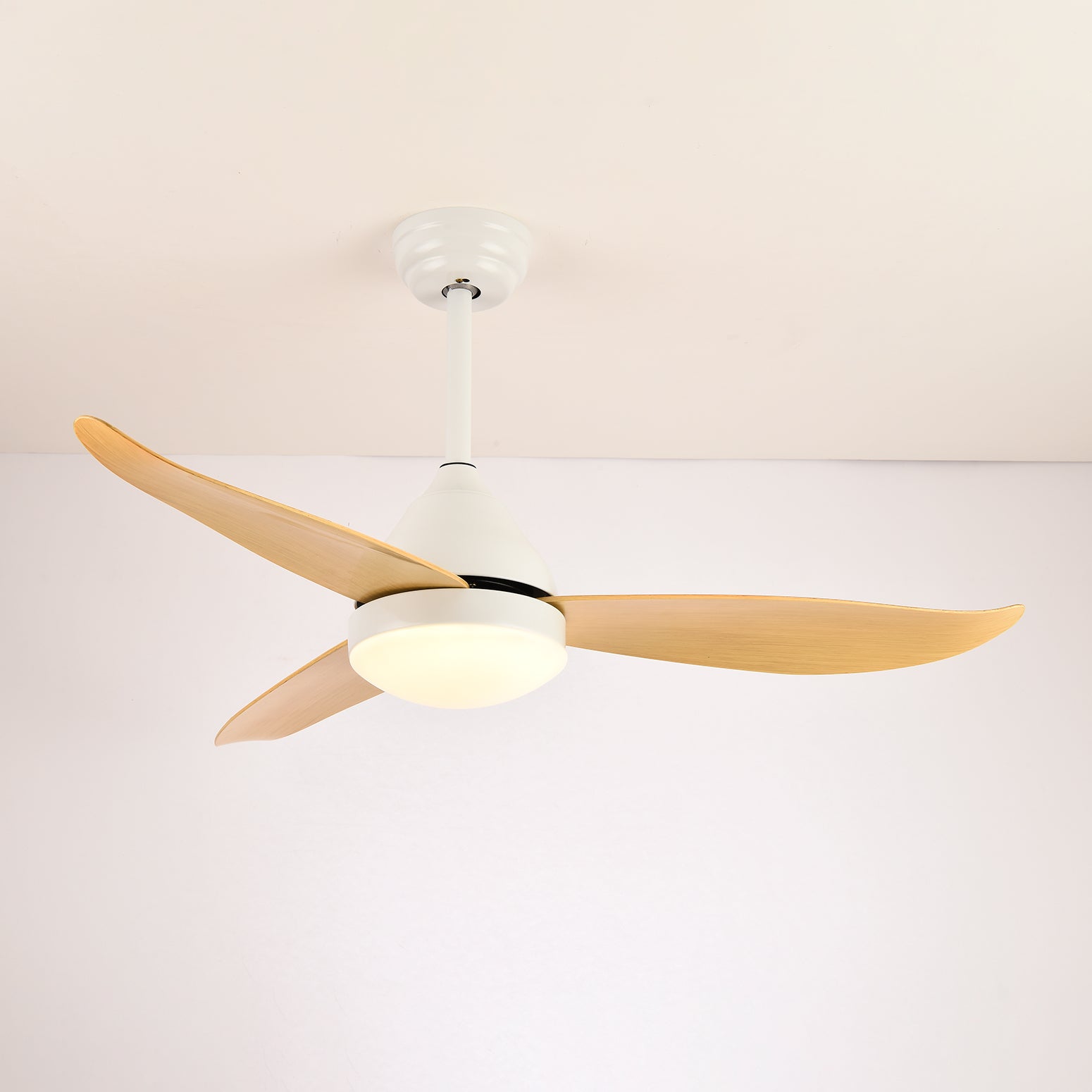 Verroza Ceiling Fan Light