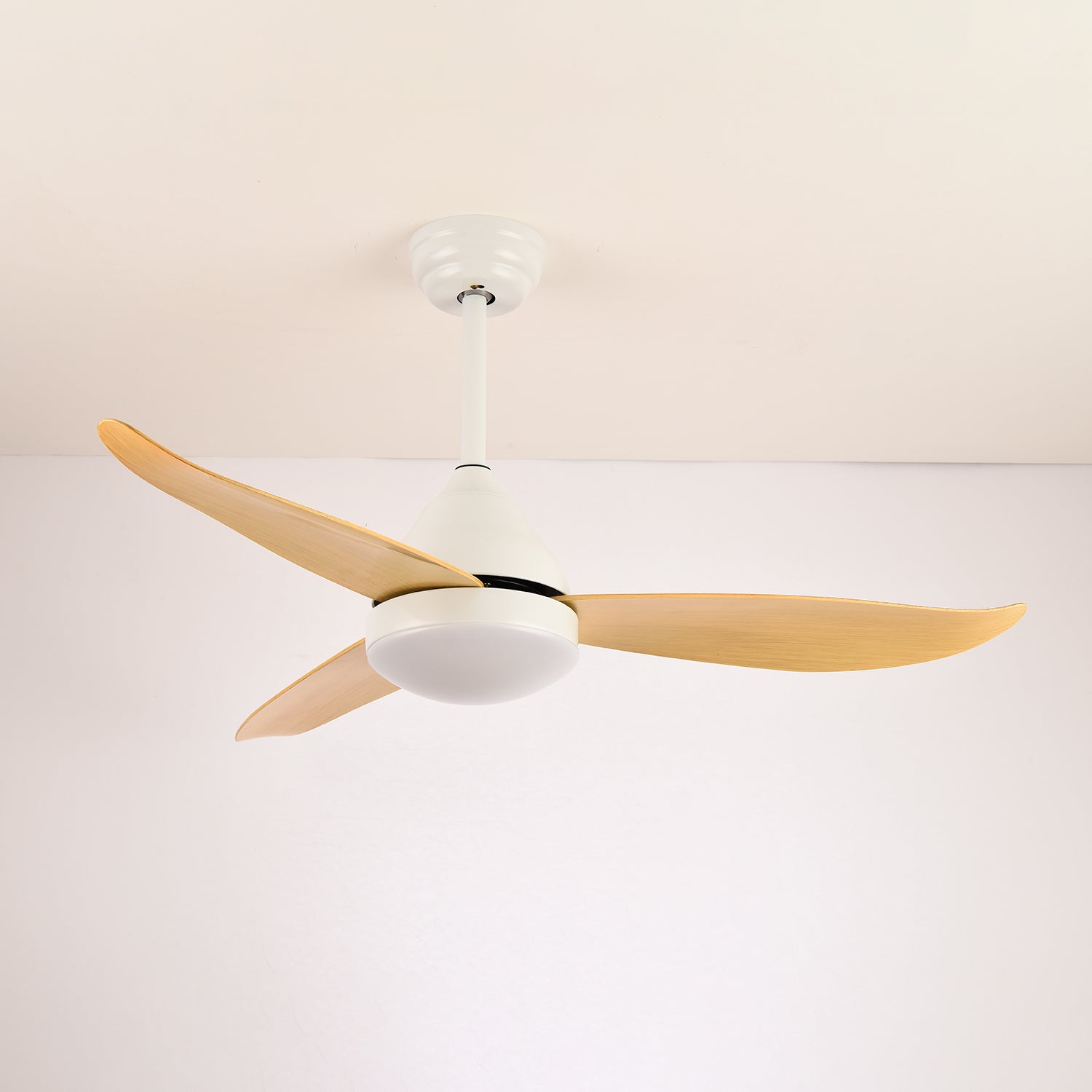 Verroza Ceiling Fan Light
